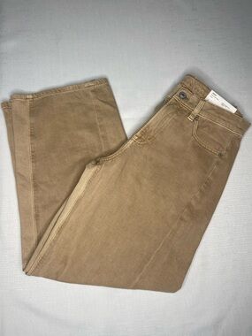American Eagle Dreamy Drape Barrel Strigid Regular Mid-Rise Pants (2) NWT